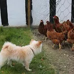 Tondegarden 3